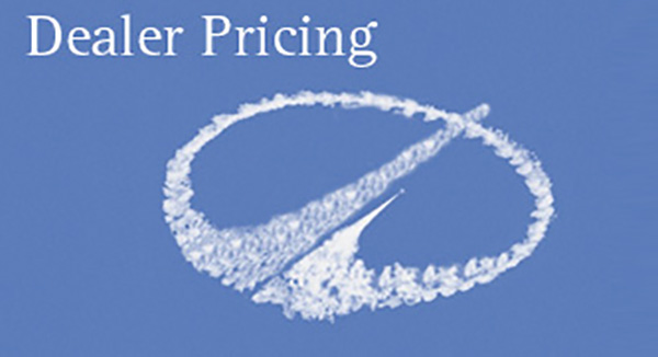 Modern Logo in the Clouds